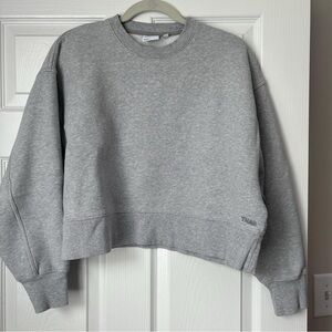 Aritzia TNA Boxy gray crew neck
